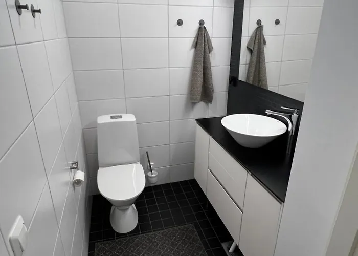 Aurinkoranta 别墅 萨翁林纳